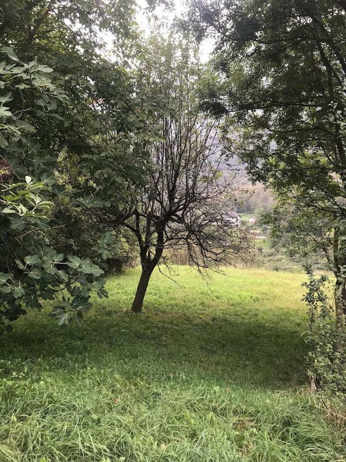 Il Bilocale Della Nonna Villa Locana Exteriör bild